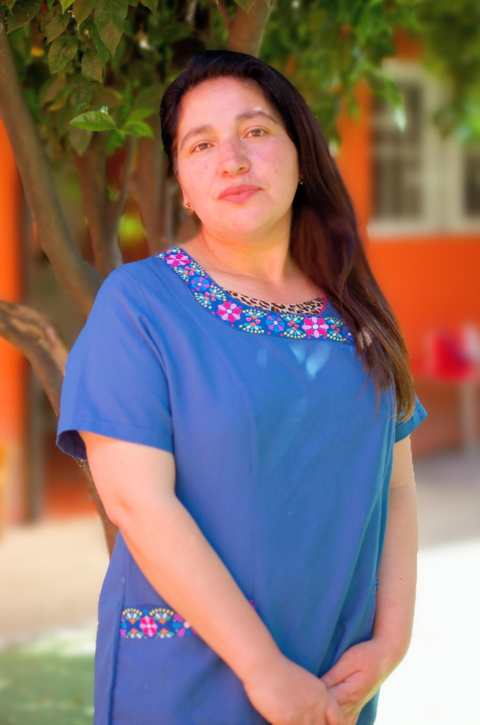 Asistente Técnico Gisela Ibáñez Nivel Medio Mayor A Image